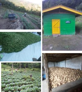 Moutshou Agri & Allied COOP.Society Ltd. Chendang village