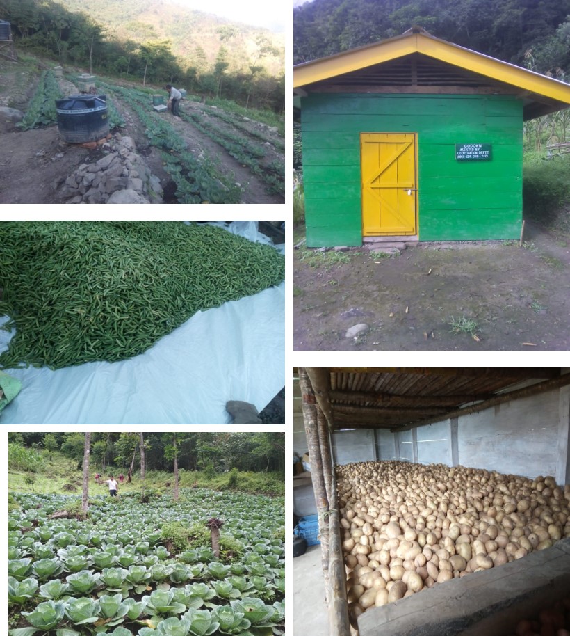 Moutshou Agri & Allied COOP.Society Ltd. Chendang village